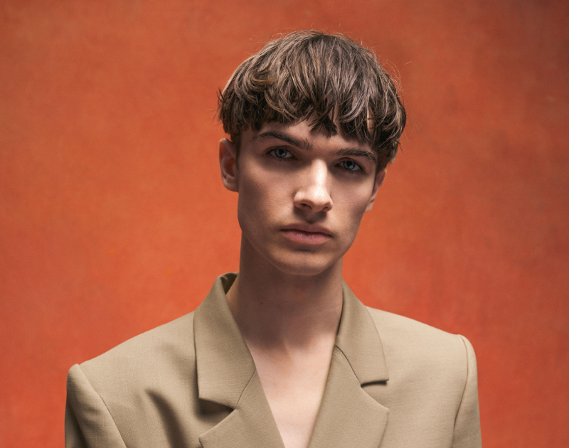 Pierre de Maere - Artiste